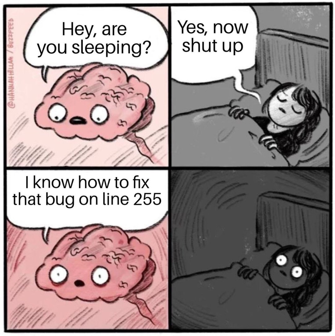 El cerebro es un meme por la noche