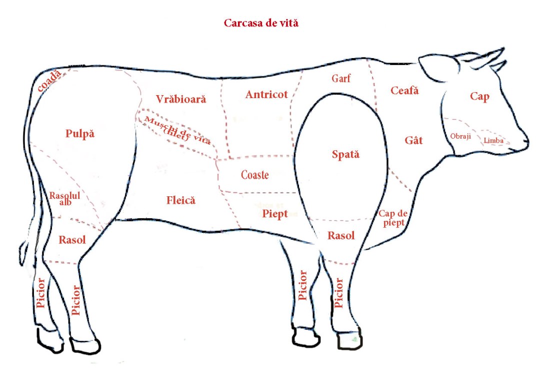 Formas de la corteza