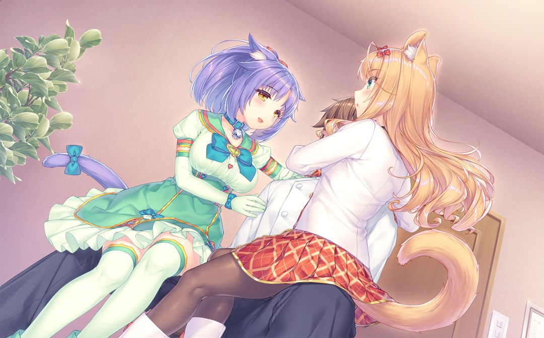 Coconato de un solo Hentai Vol 2