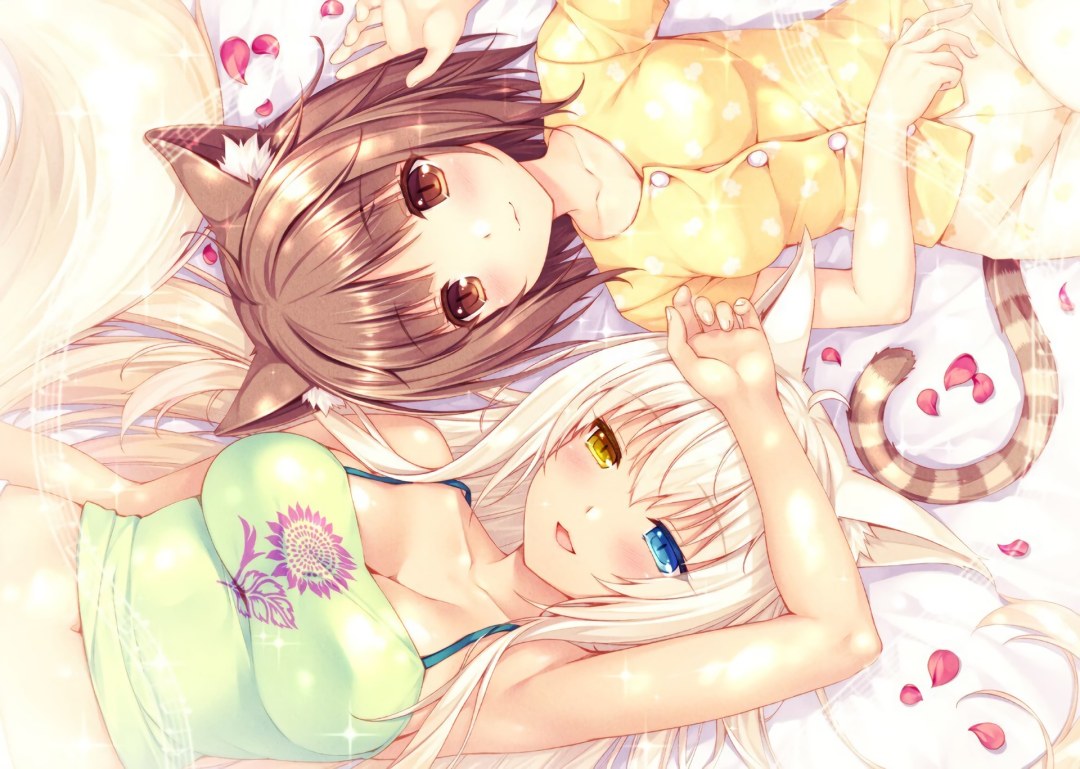 El derecho de Chokol Hentai