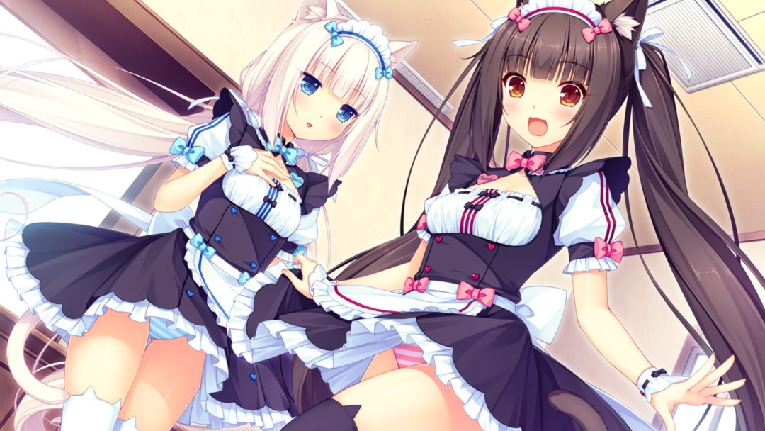 Coconato para paraíso de gato hentai