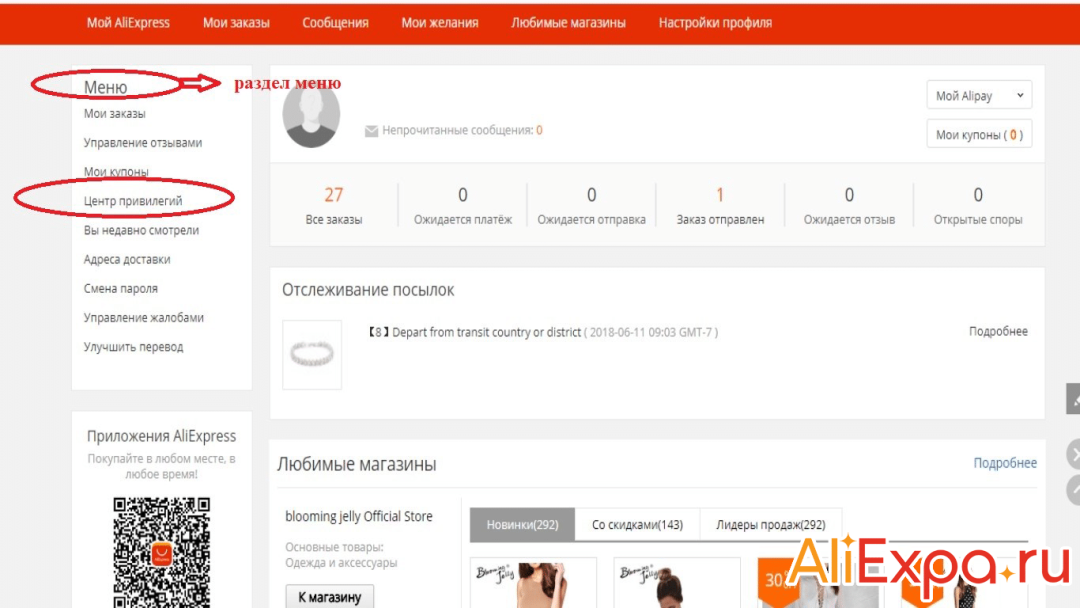 AliExpress en inglés