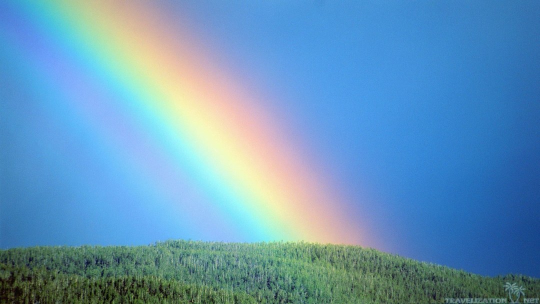 Arcoiris sobre un fondo blanco