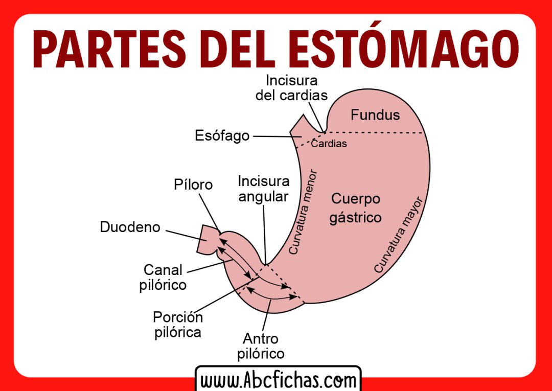 Juego de corazones de matriz