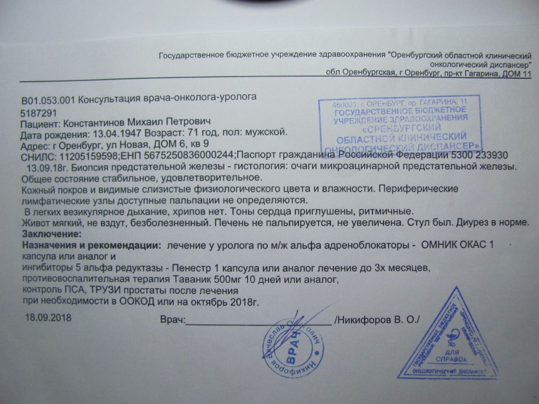 Gdz prefiere inglés