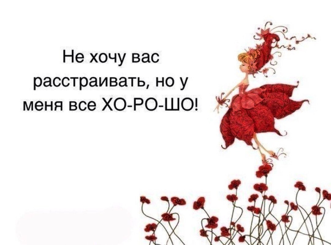 Crucigrama con preguntas y respuestas