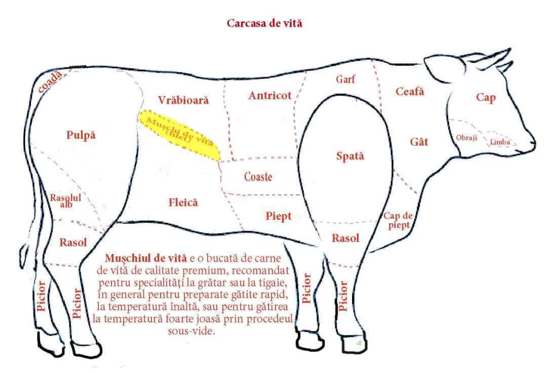 Formas de la corteza