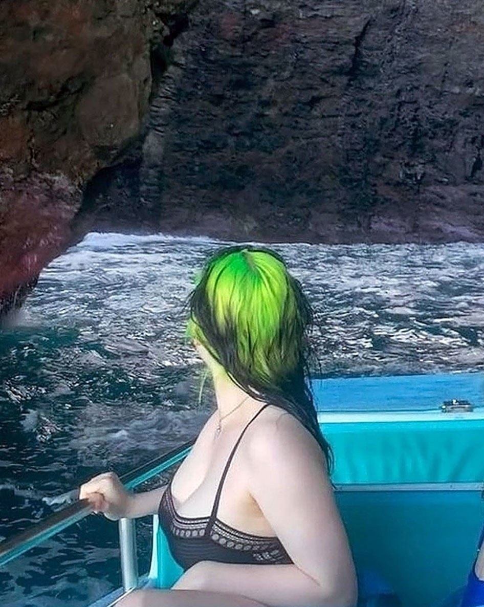 Desagüe de Billie Eilish