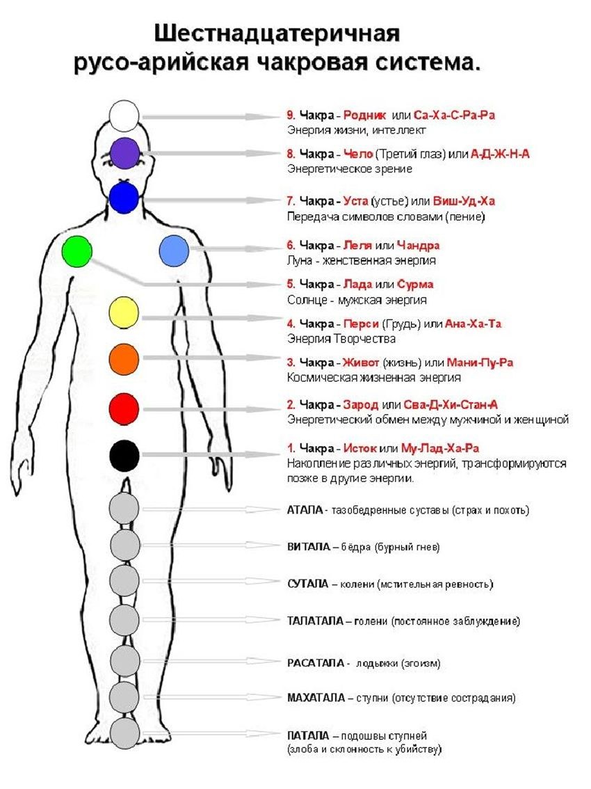 Esquema de centros de energía humana