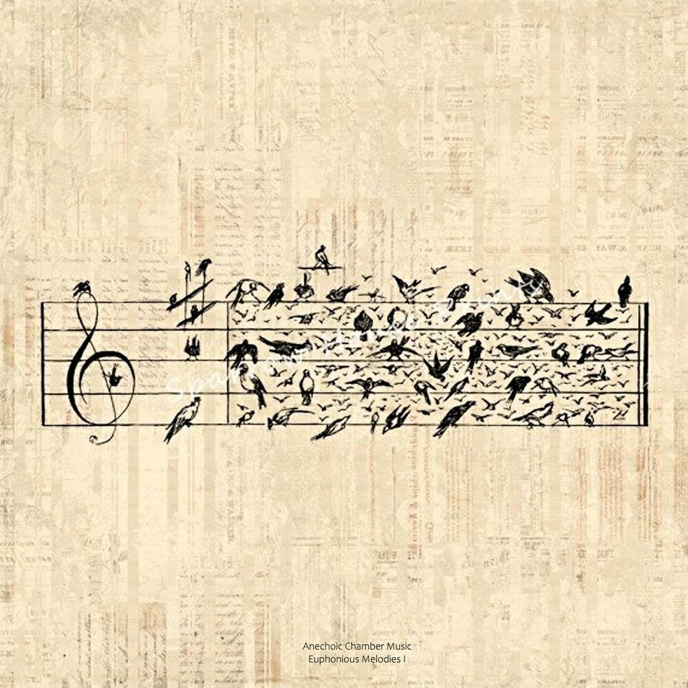 La ubicación de las notas en el piano 88 claves