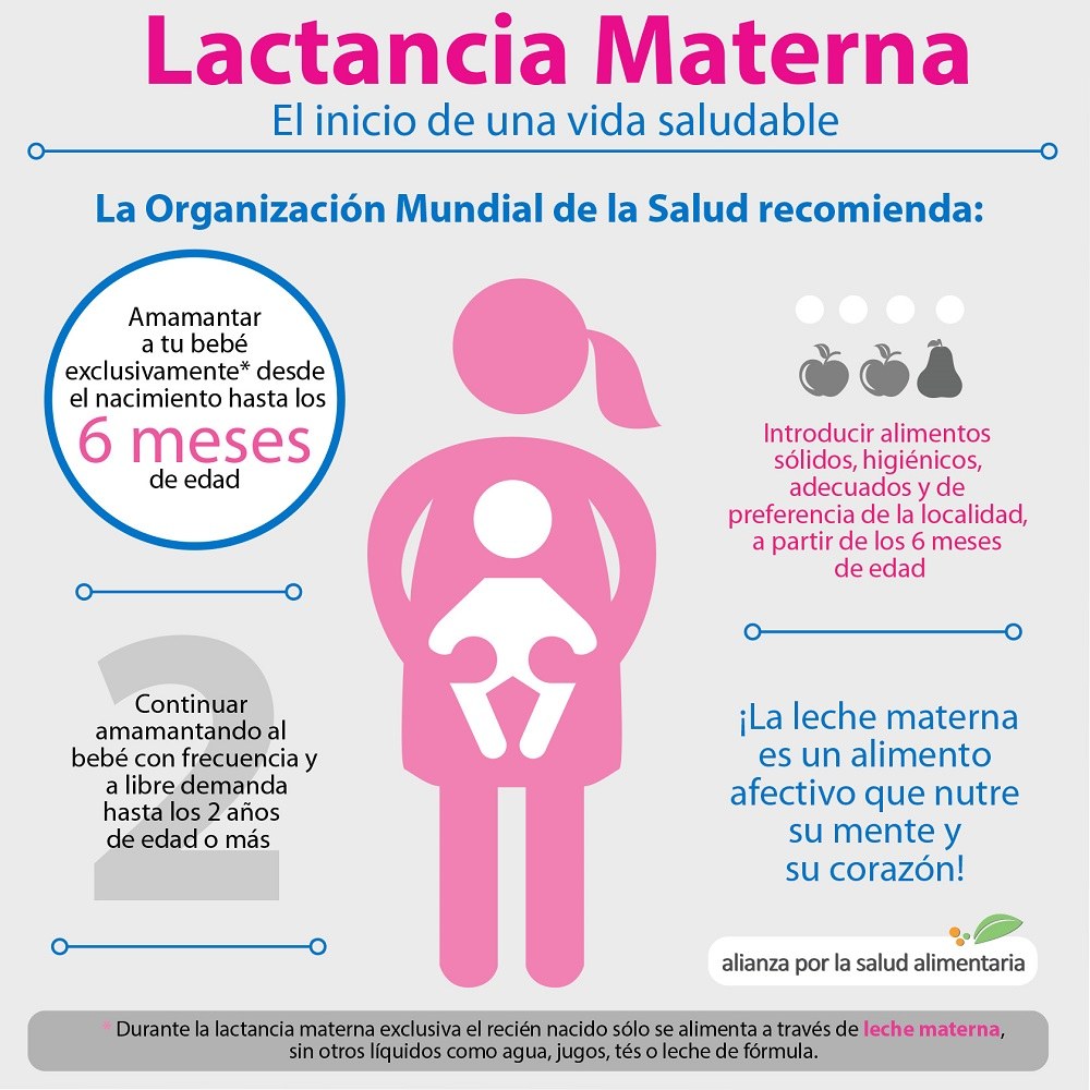 Composición de Materna HMO