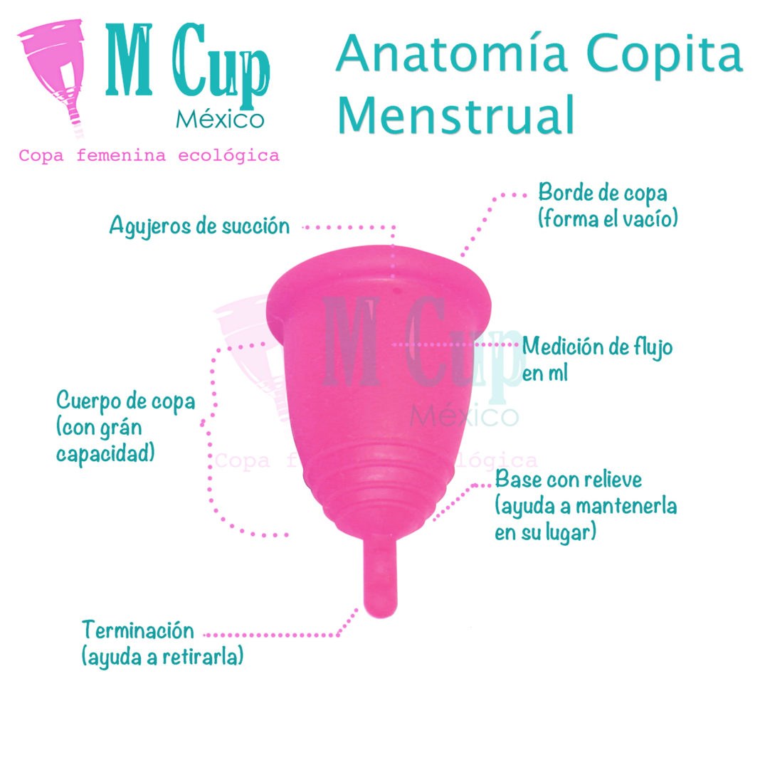 Bragas de mujeres en la muerte