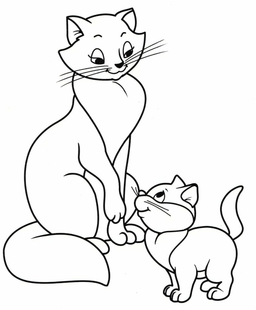 Gatos. Colorante