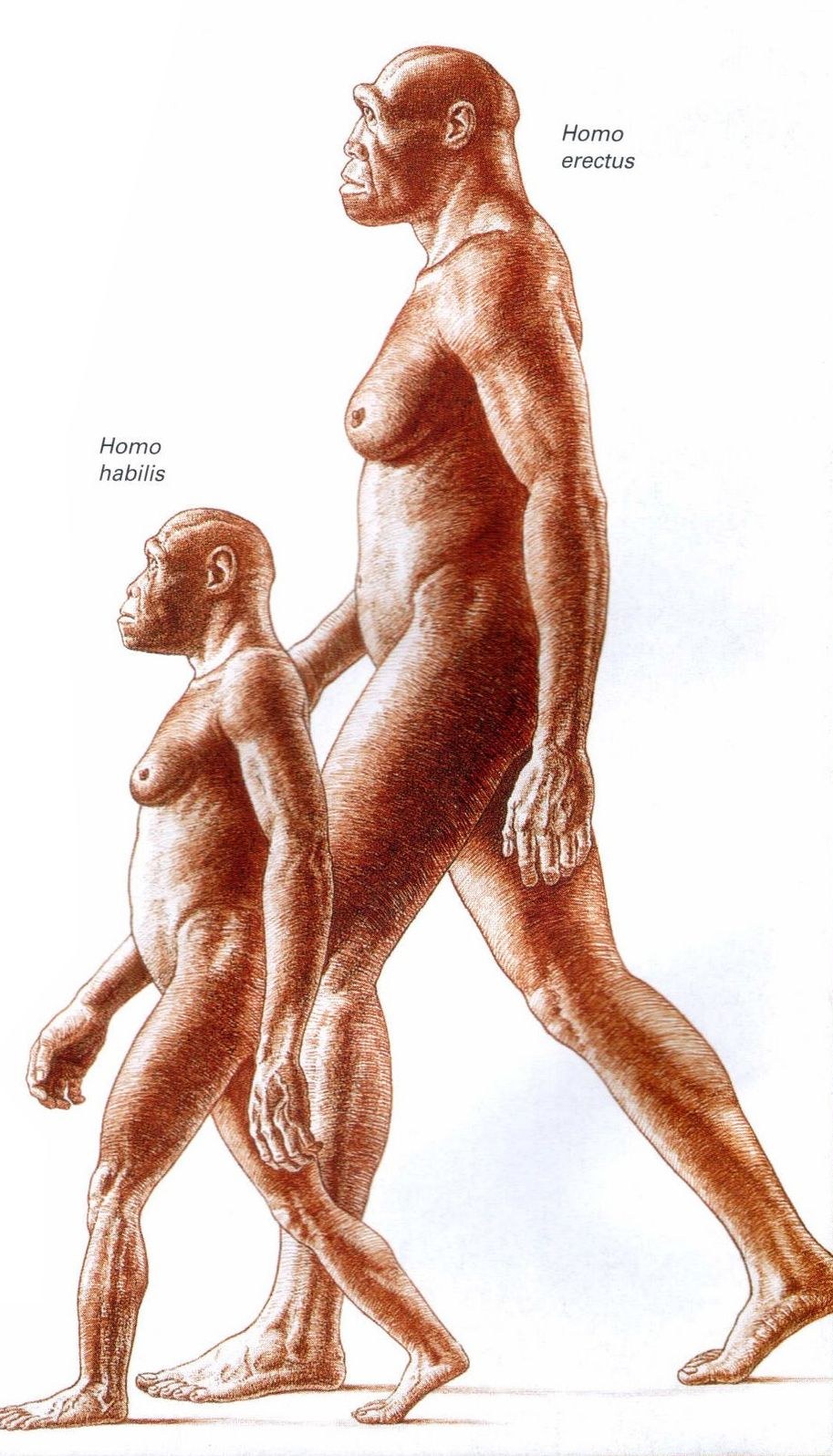 Jane Porter Disney Hentai Mowgli