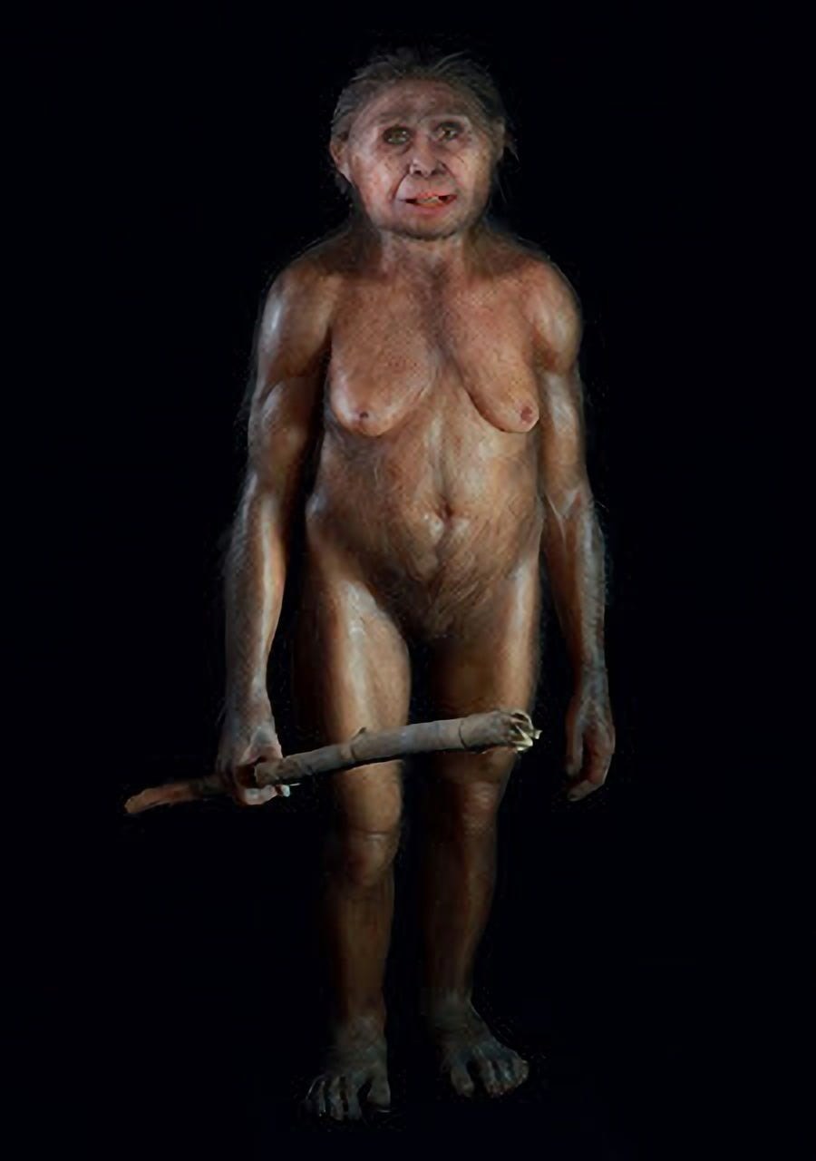 XXX Comics of the Jurassic Park