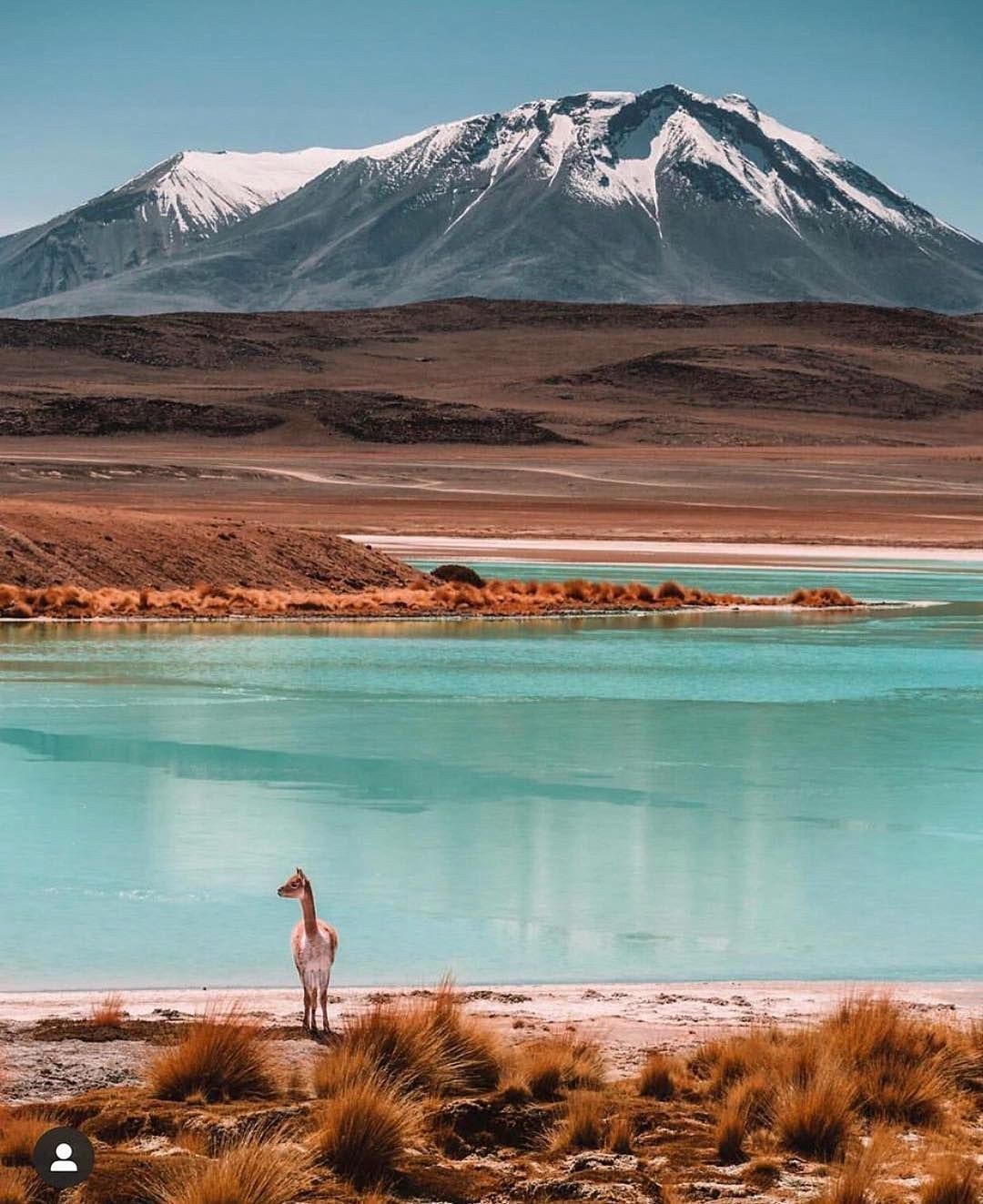 Bolivia de una mujer