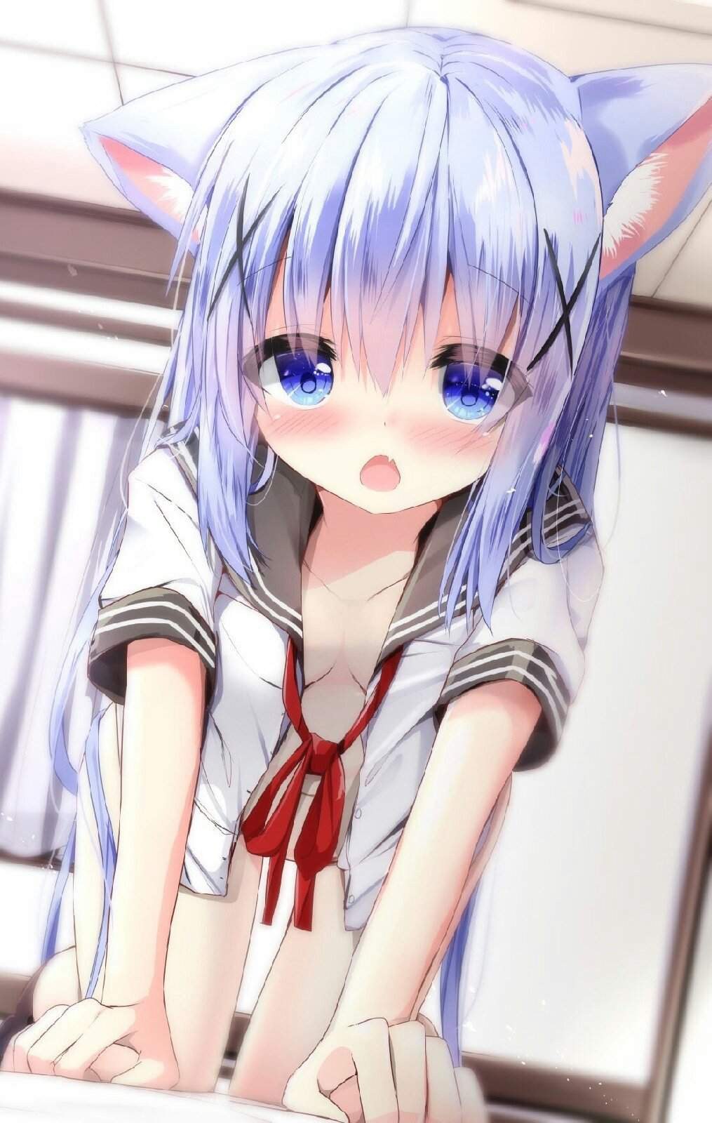 Kafuu Chino no es etti