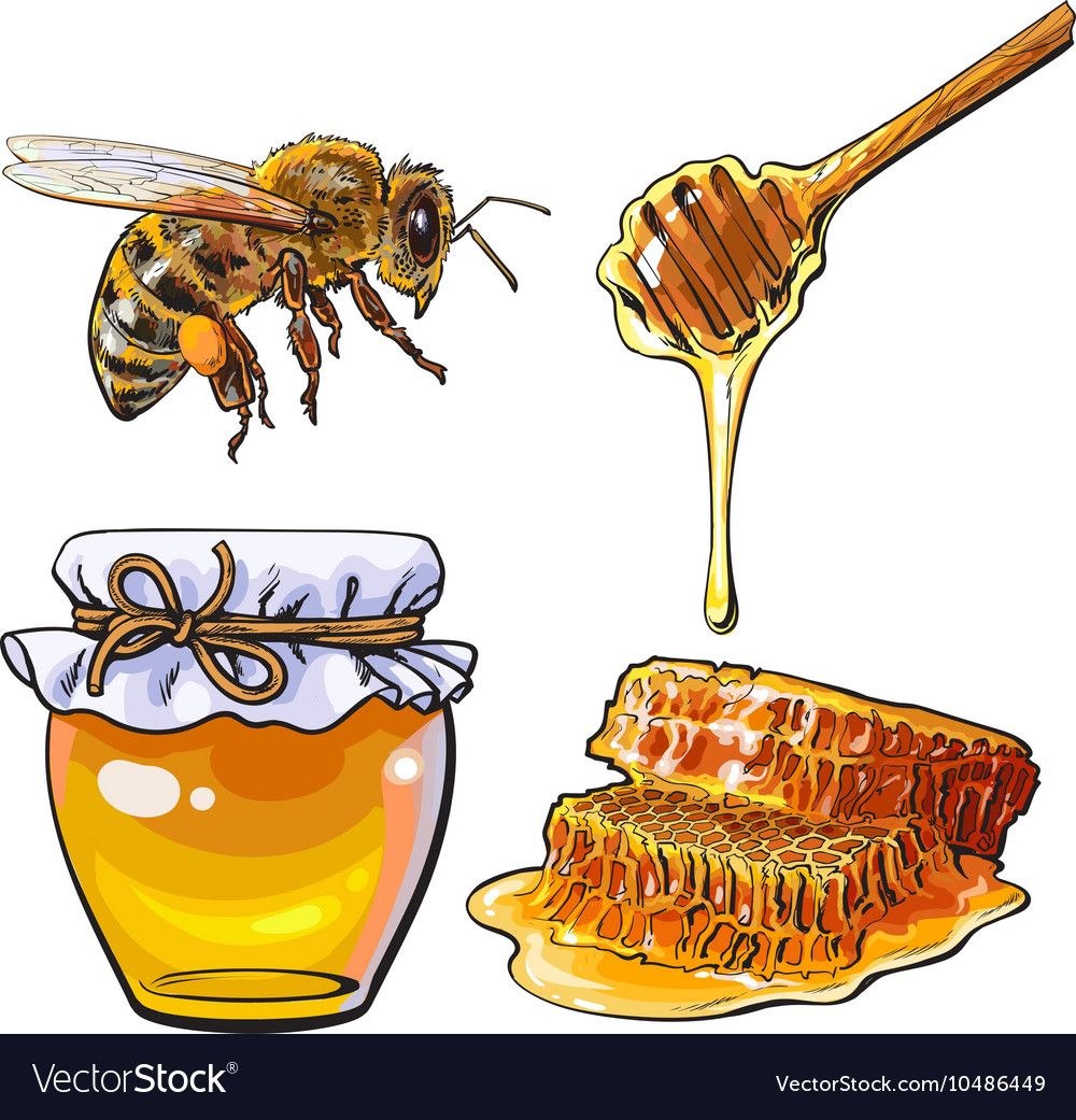 La abeja vuela