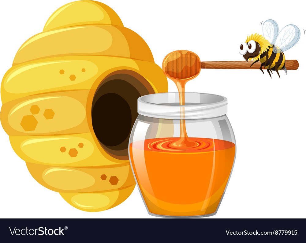 Miel y abejas