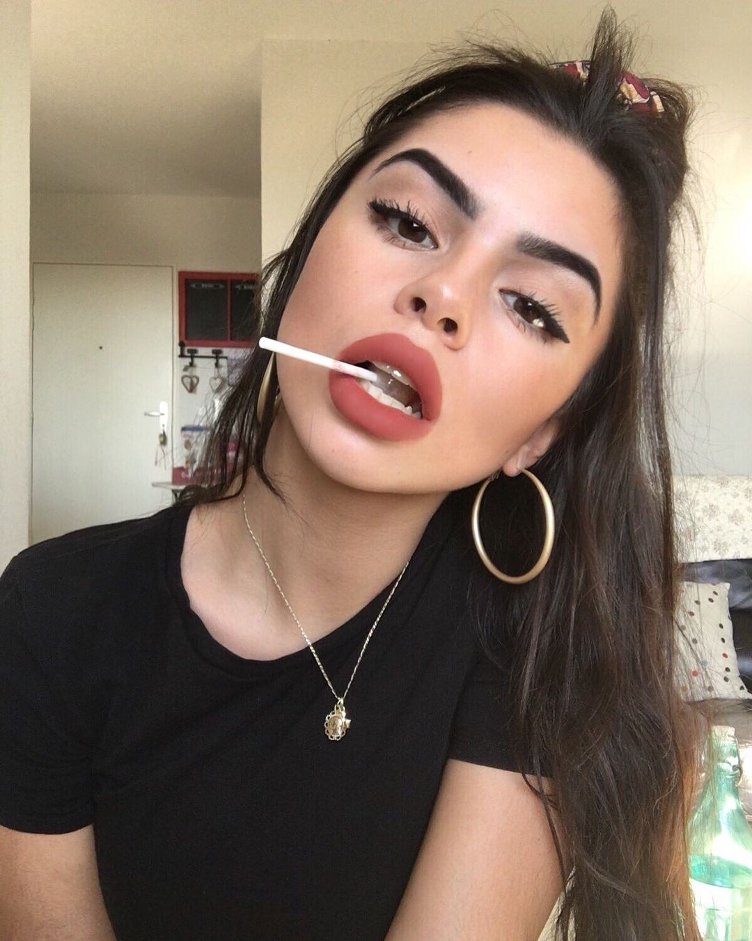 Labios de paleta de ciruela