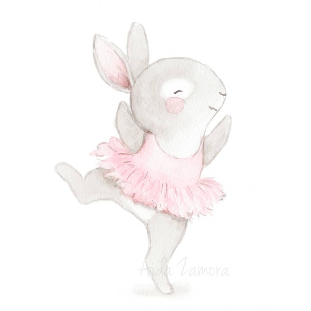 Liebre en diferentes poses