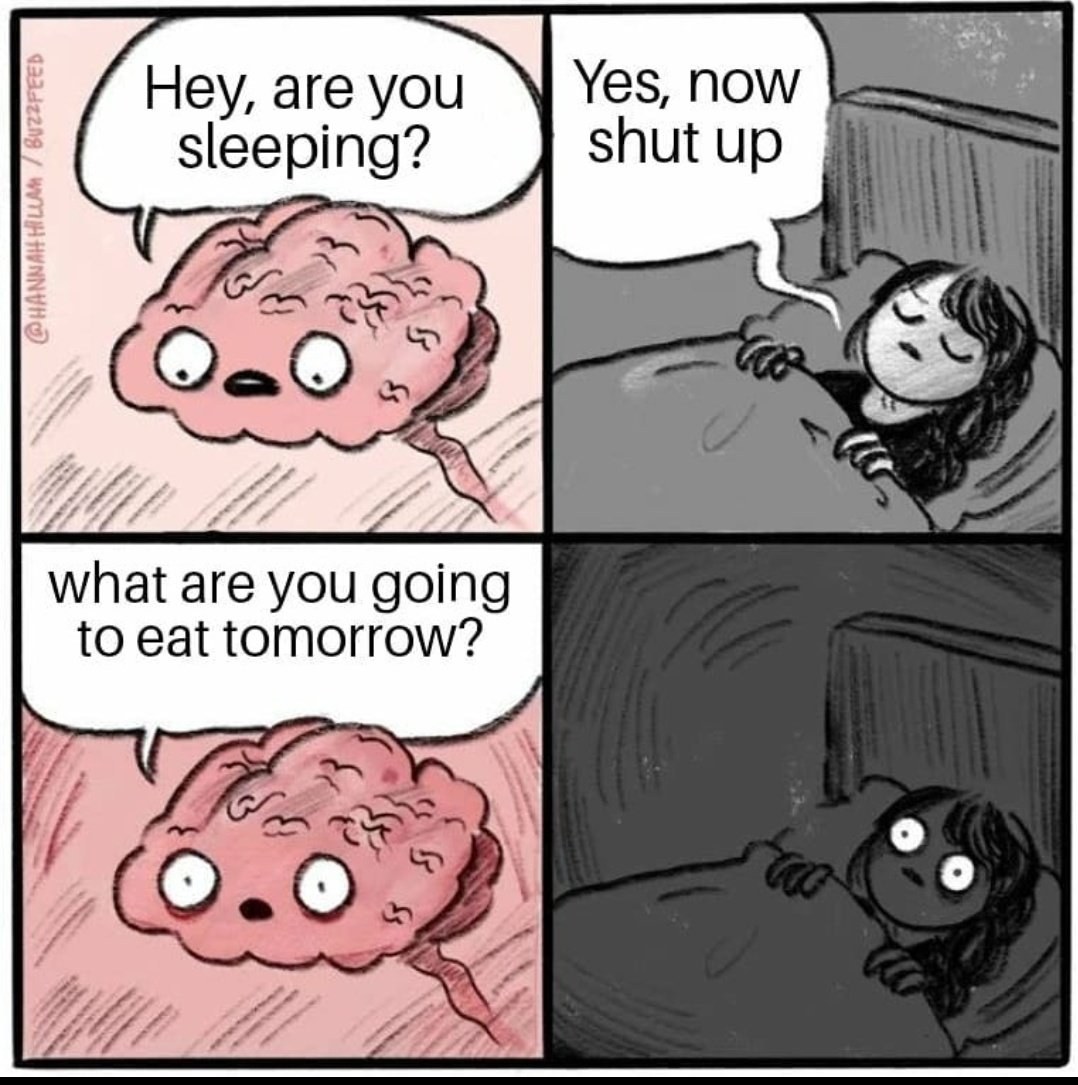 El cerebro es un meme por la noche