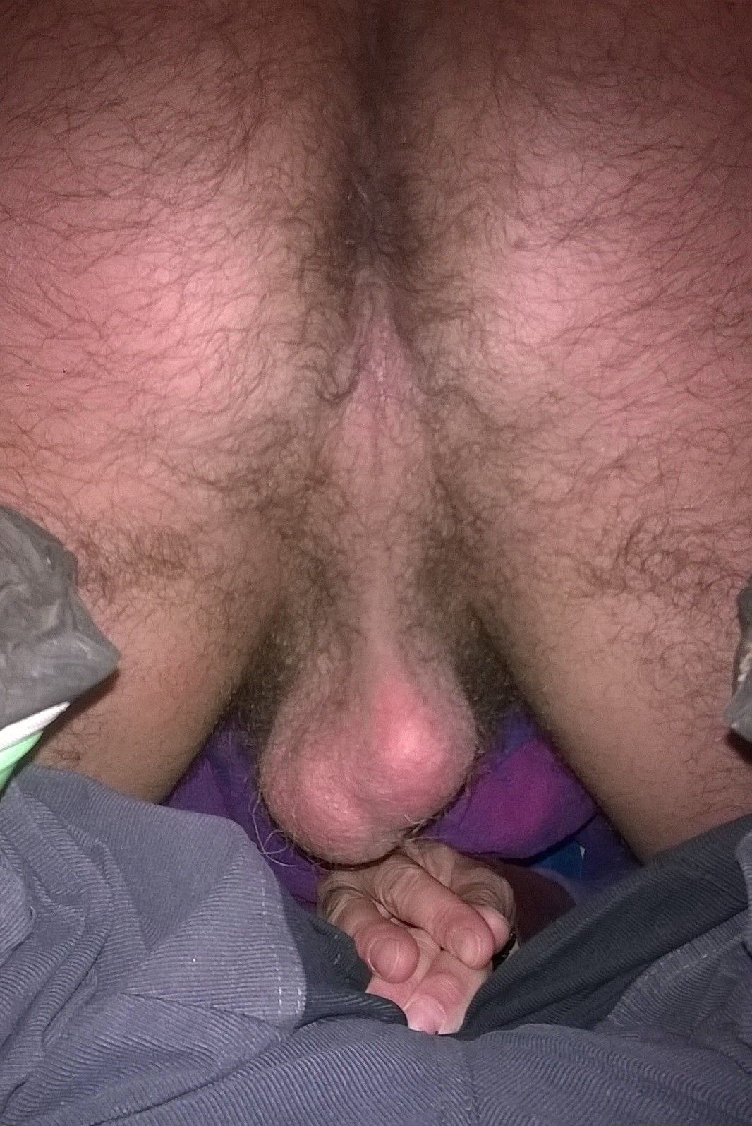 Lavar al miembro del peludo