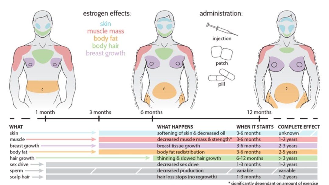 Esquema de terapia hormonal para MTF