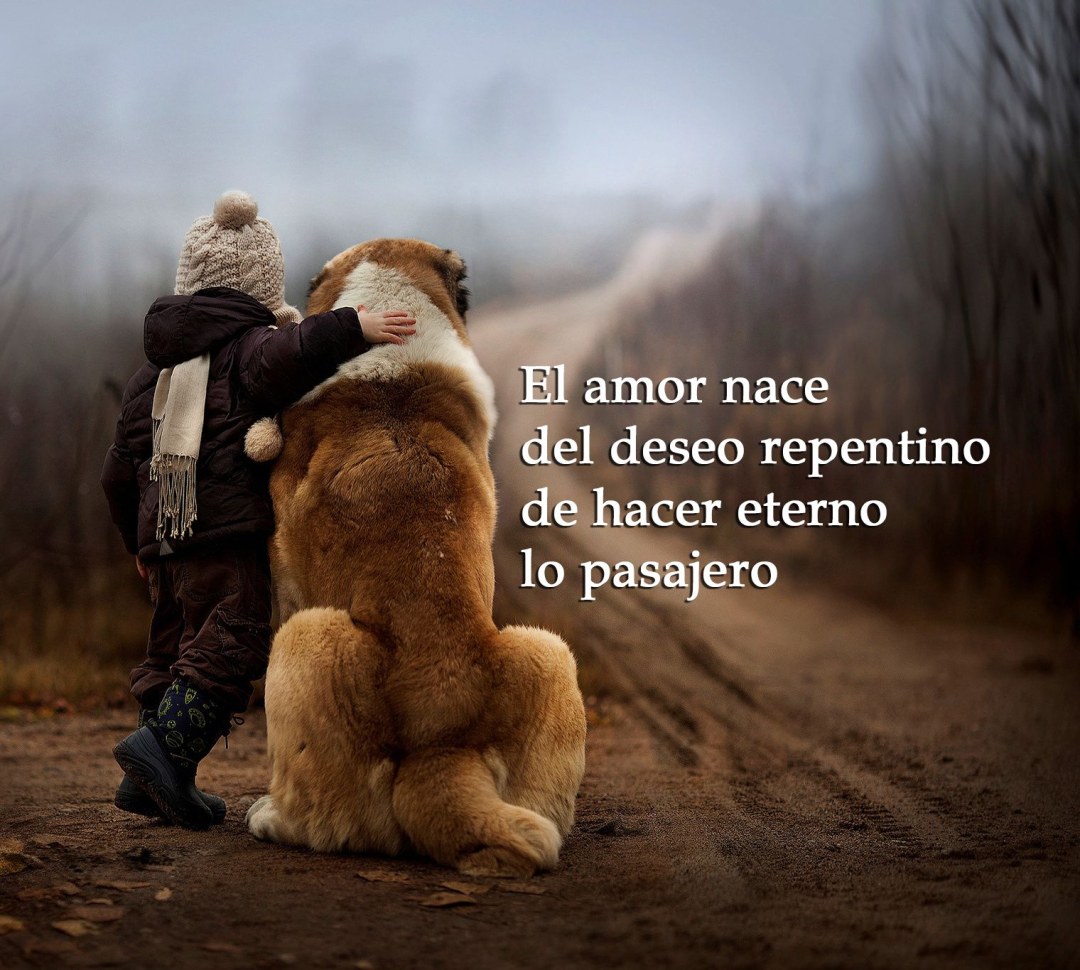 Mait una plataforma de deseo oscuro