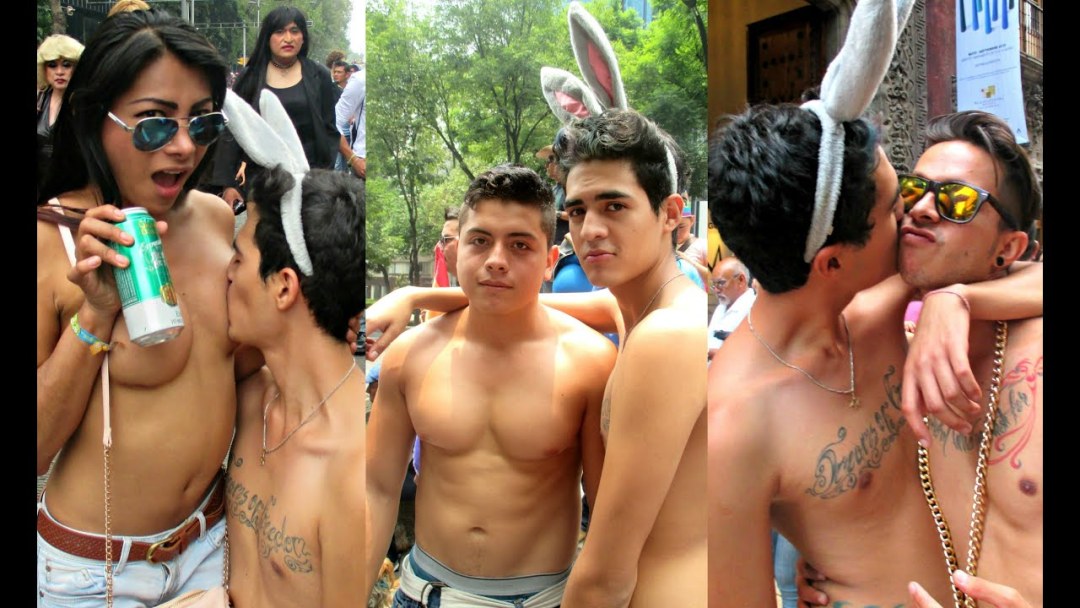 Vids gay de perras