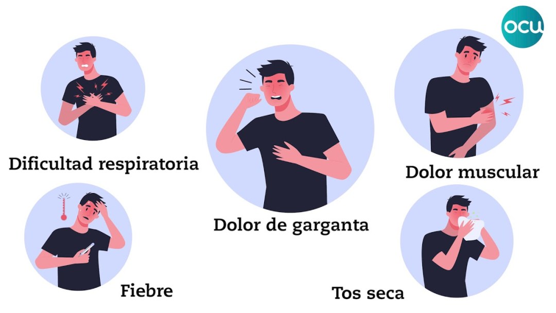 Lis le texte párrafo parte párrafo aparte de chaque respuestas