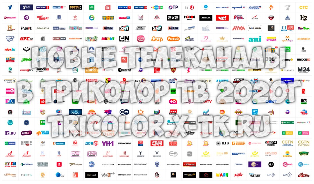 TV en vivo +18