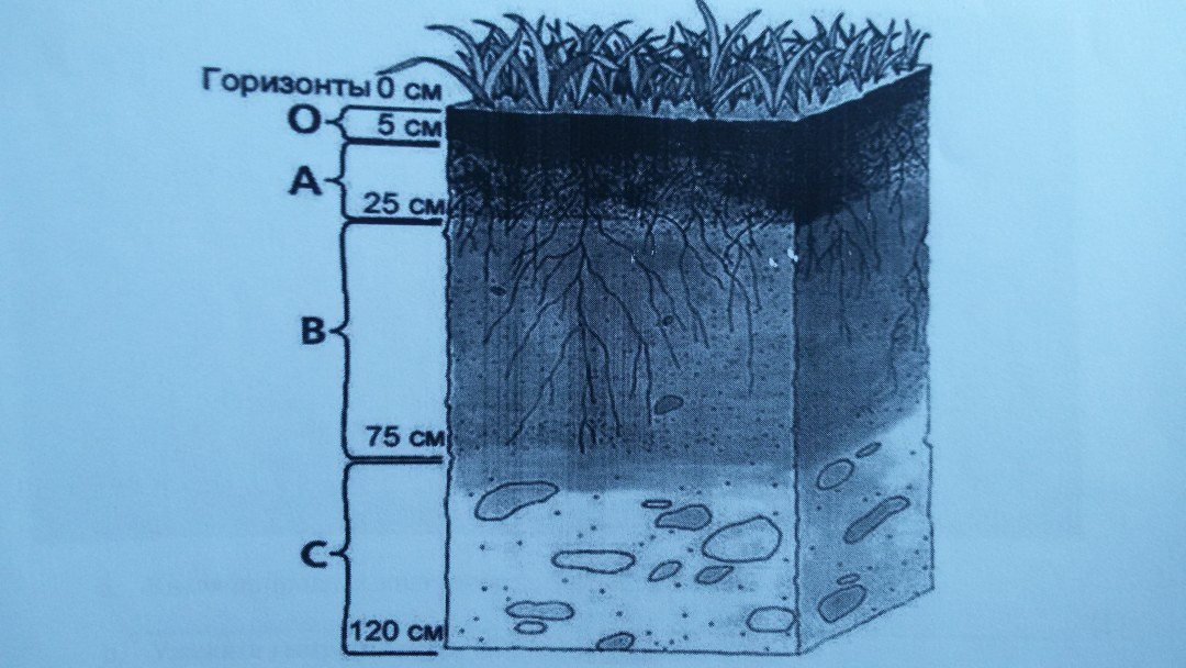 Estructura del suelo