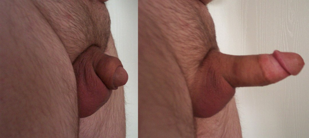Muy bonitas shemales anal