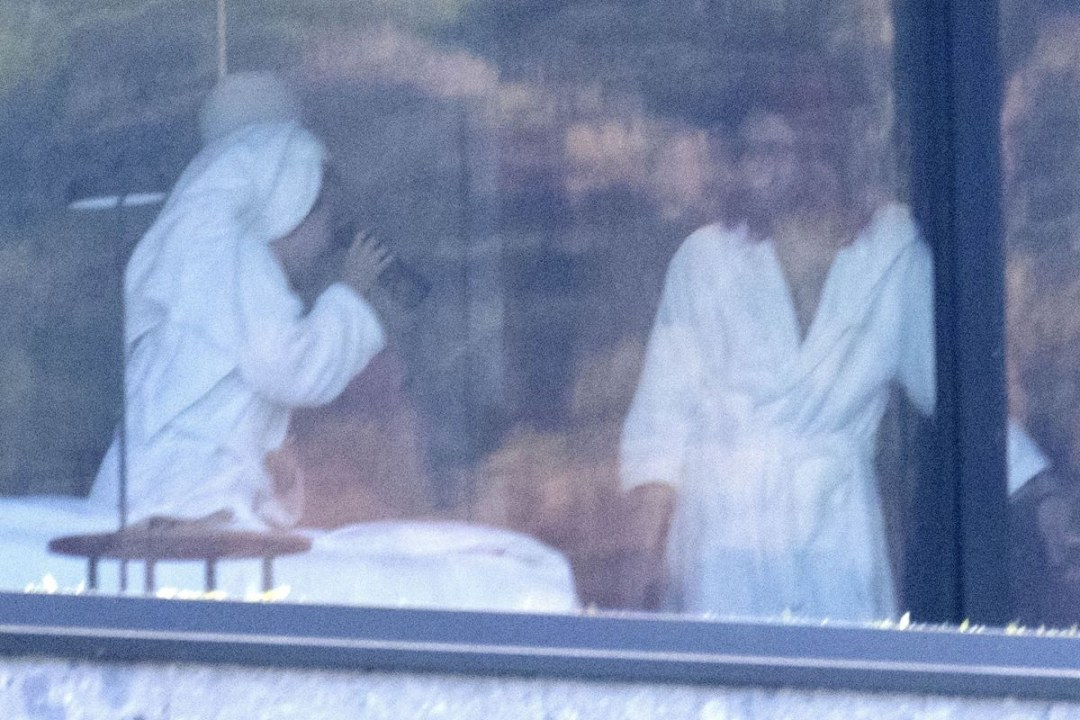 Burka sivka en inglés