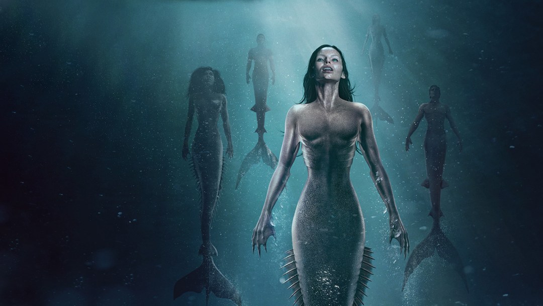 Foom Paradise / Nekopara (2020) Anime