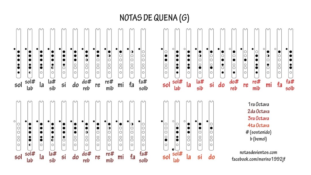 Notas para el acordeón de botón