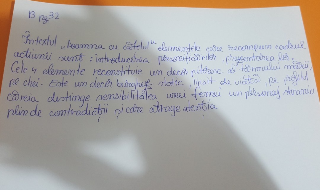 Compunere Despre Su Vreau Sa Devin FMnsf