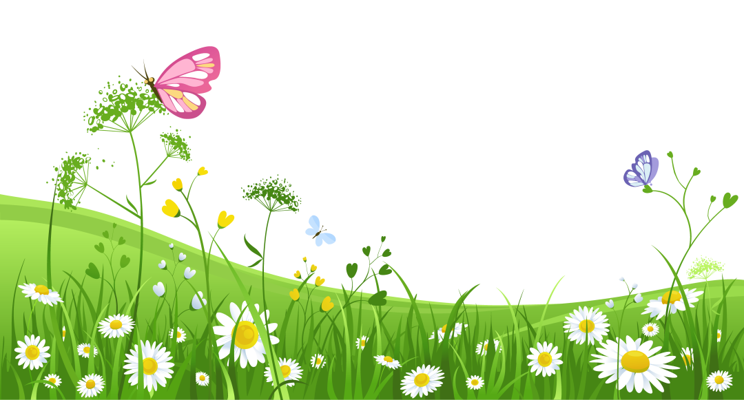 Lectura de Surah Al Fatikha Ayat Al Curses