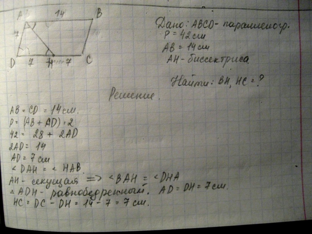 Juego de medianoche paraíso
