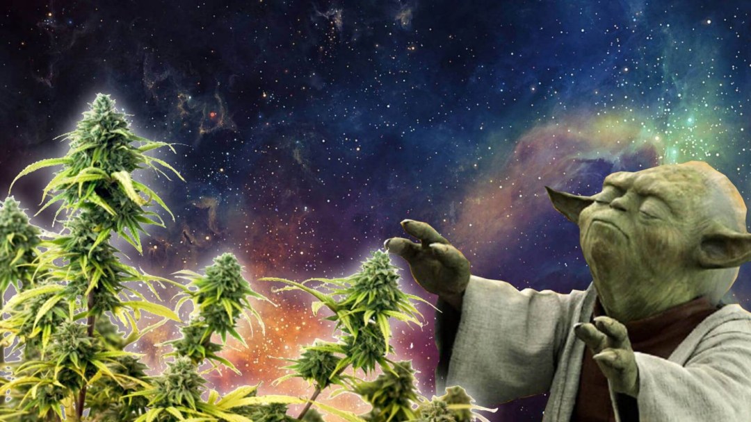 Arte de marihuana para fumar
