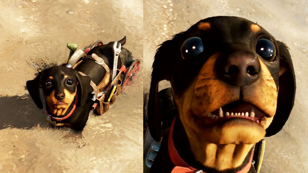 Far Cry 6 Dachshund