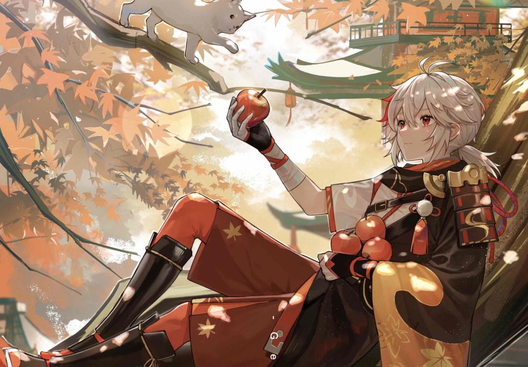 Ayaka Genshin Impacto