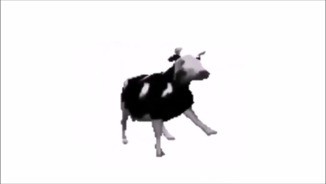 Flexitis de vaca pulida
