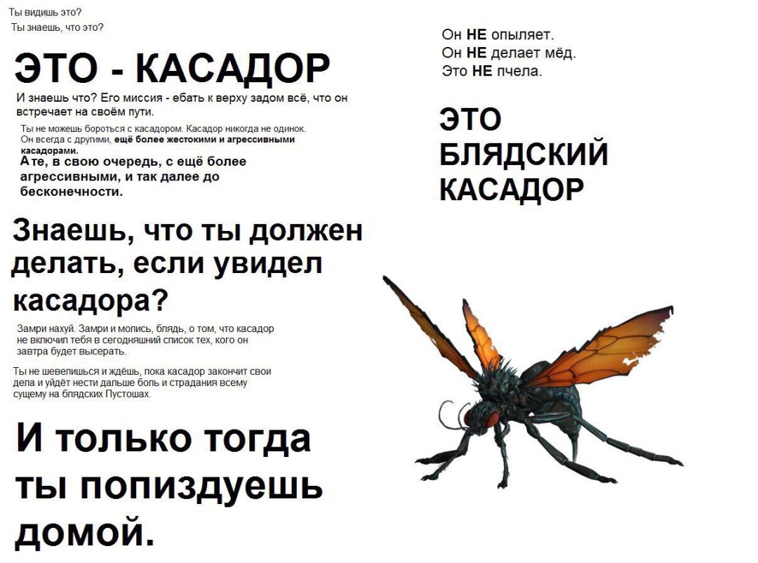 Tasador Fallout New Vegas Memes