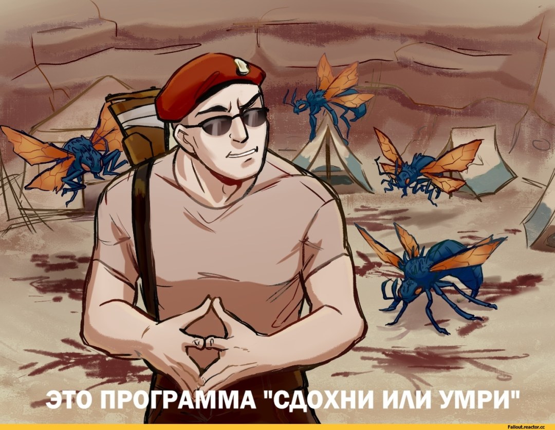 Casadora Fallout New Vegas Memes