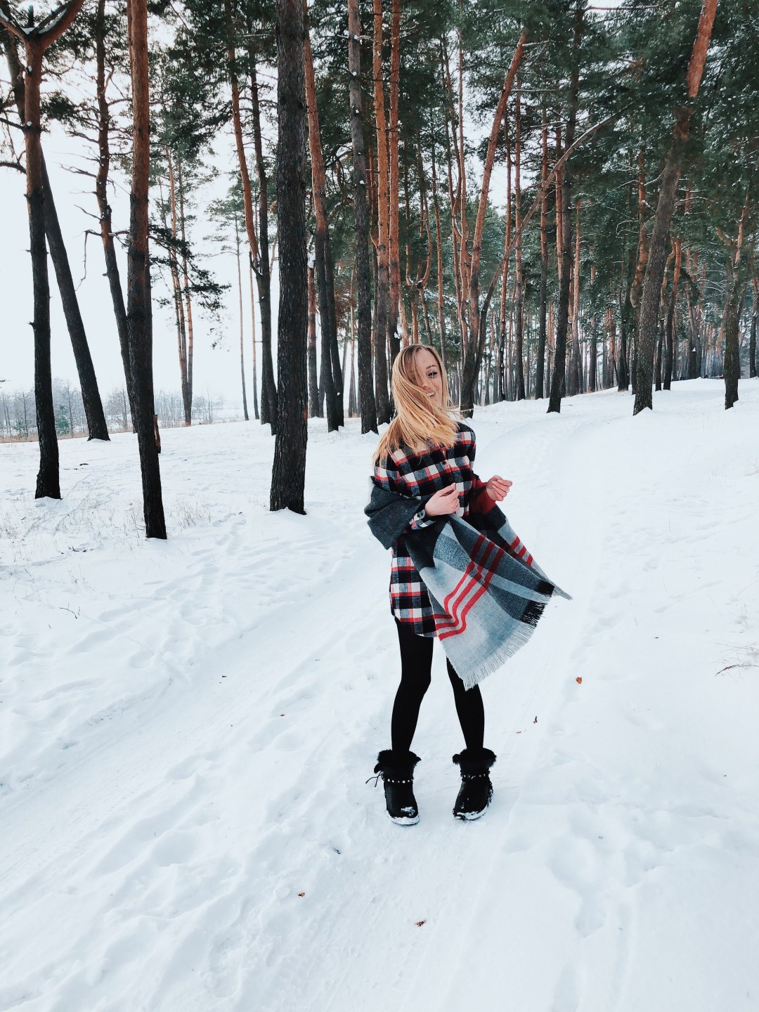 Casa en el bosque de invierno