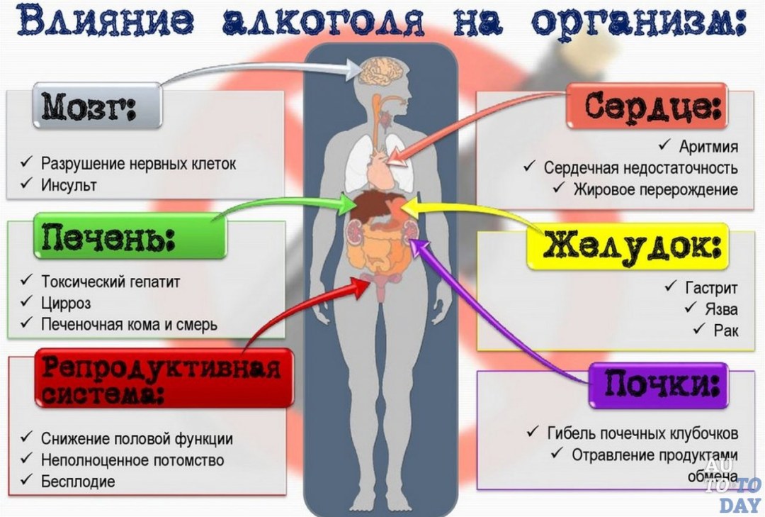 El efecto del alcohol en el cuerpo humano