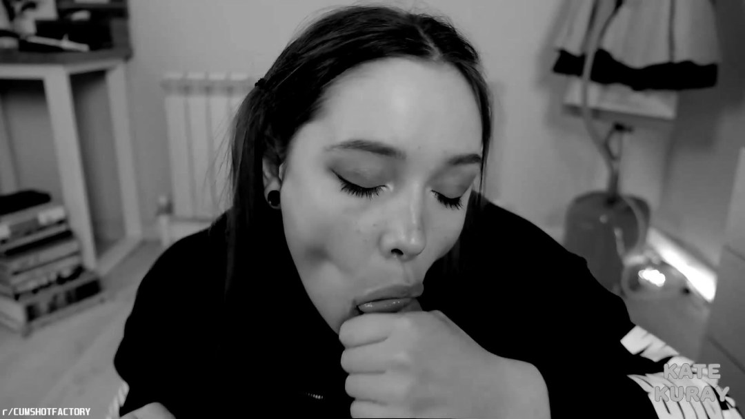 Perra púrpura hinata