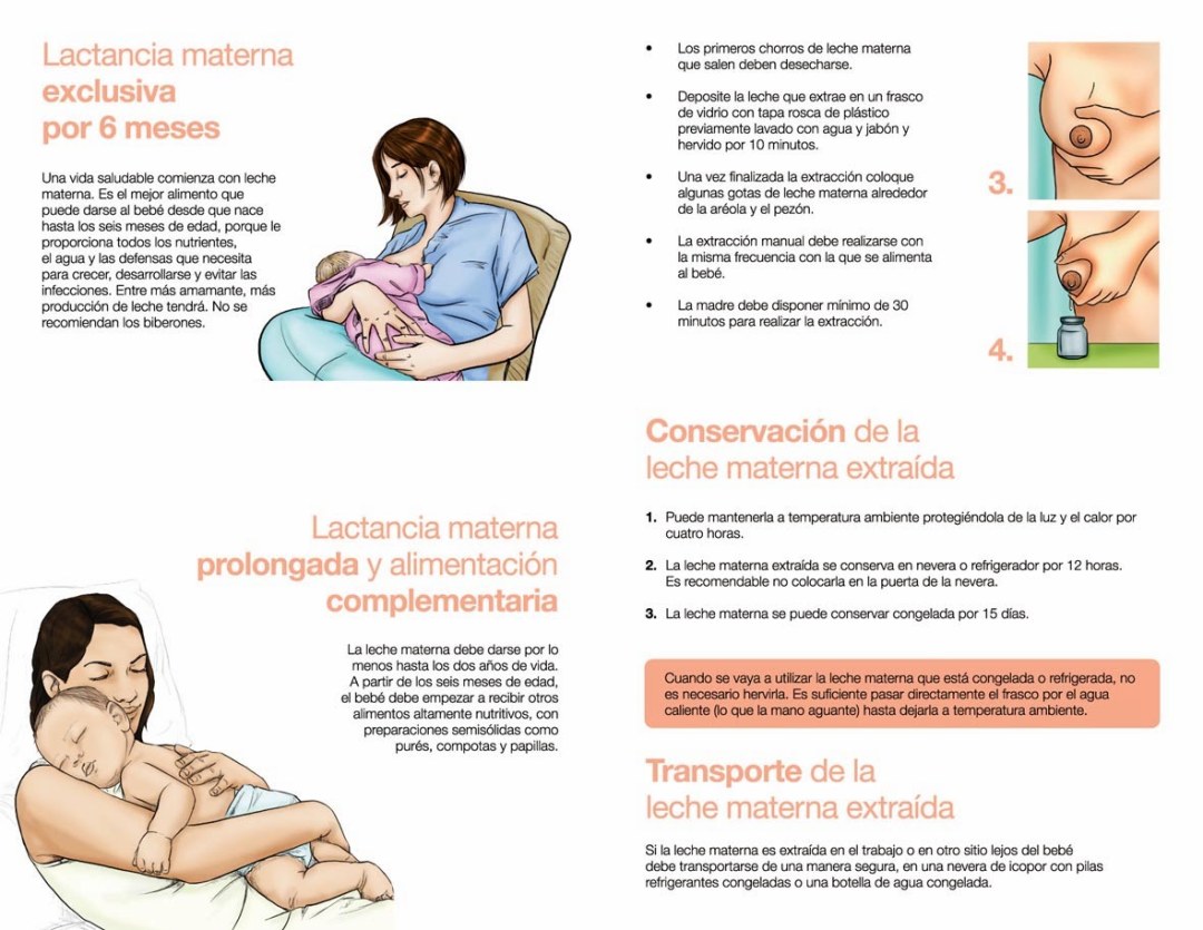 Leche Salud como traducido